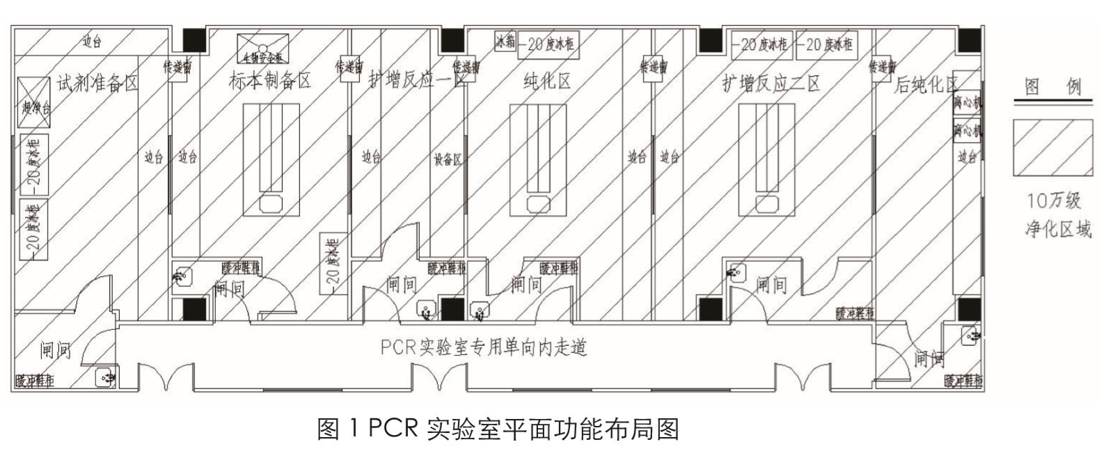 新冠PCR實驗室建設