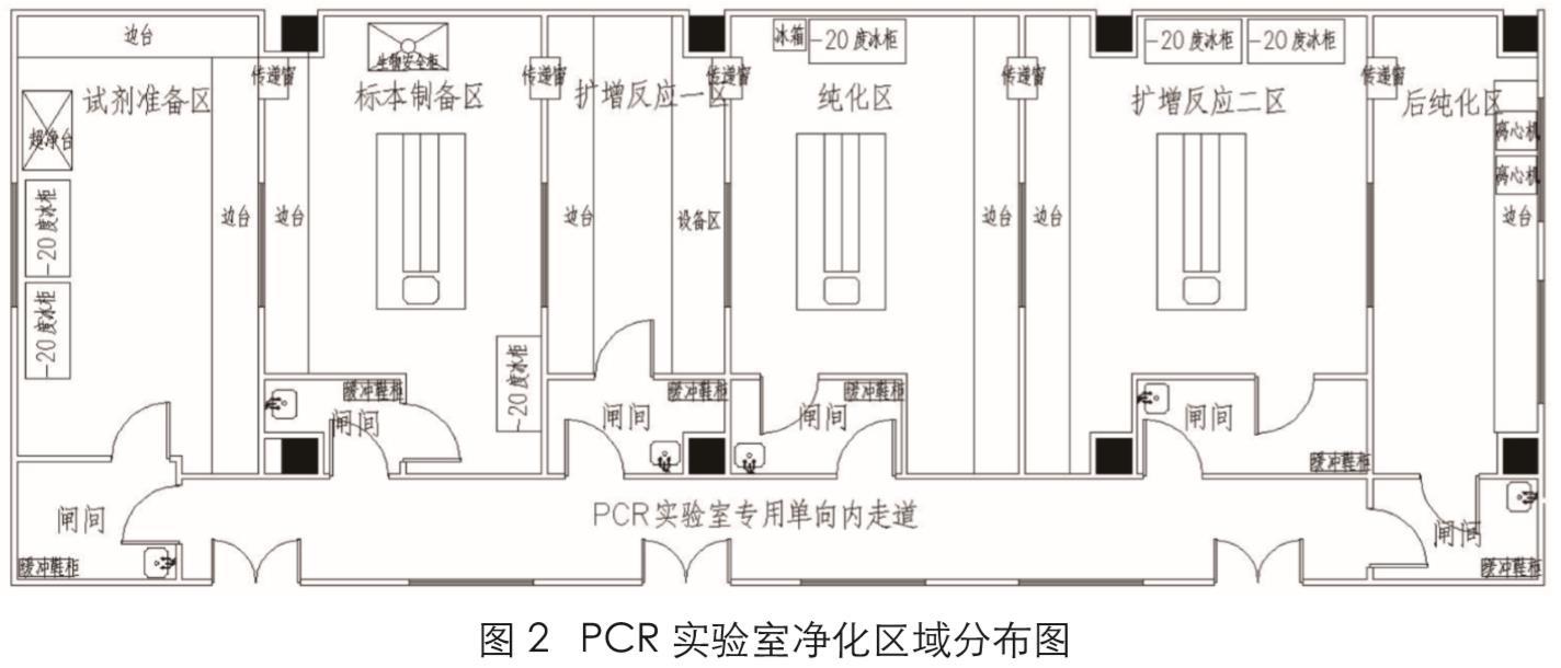 新冠PCR實驗室建設